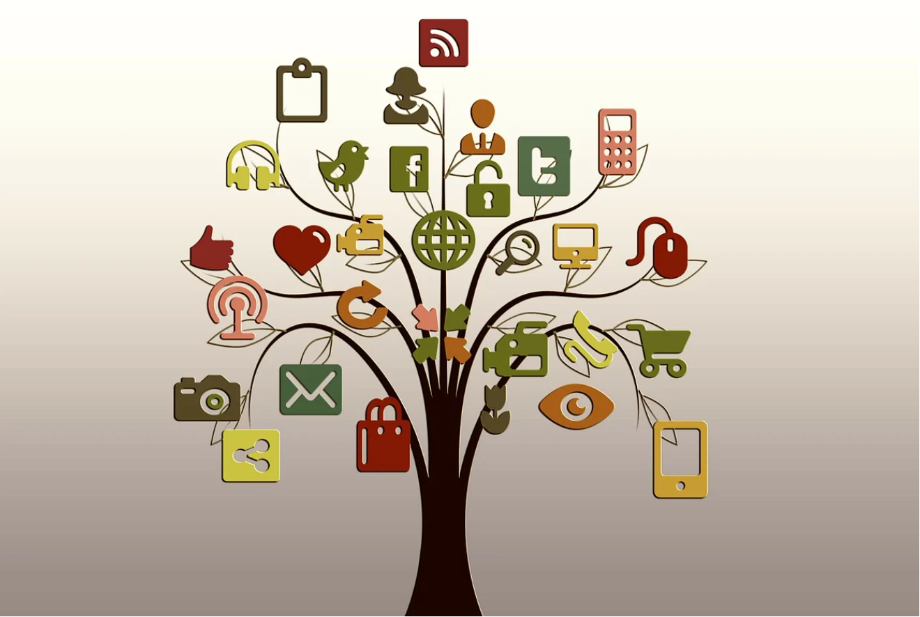 Social Media Growth